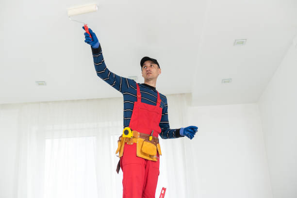  Weidman, MI Dry wall and painting Pros