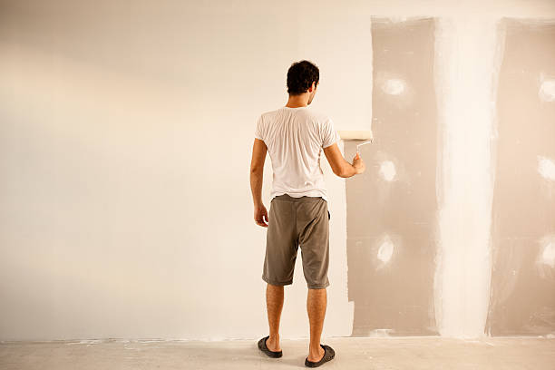 Best Faux Finishing and Decorative Painting  in Weidman, MI